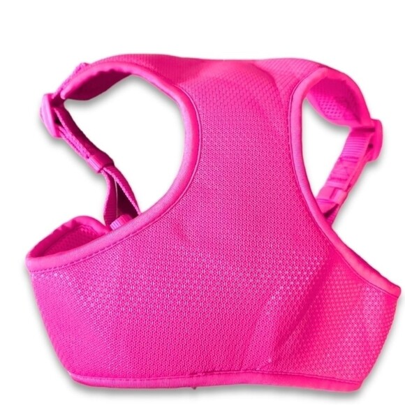 Small Dog Harness and Cheer Costume - Picture 5 of 8